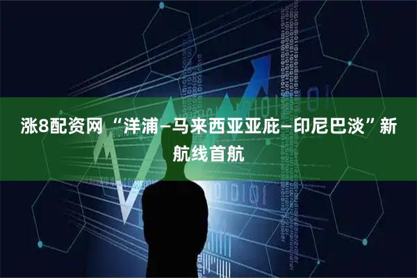 涨8配资网 “洋浦—马来西亚亚庇—印尼巴淡”新航线首航