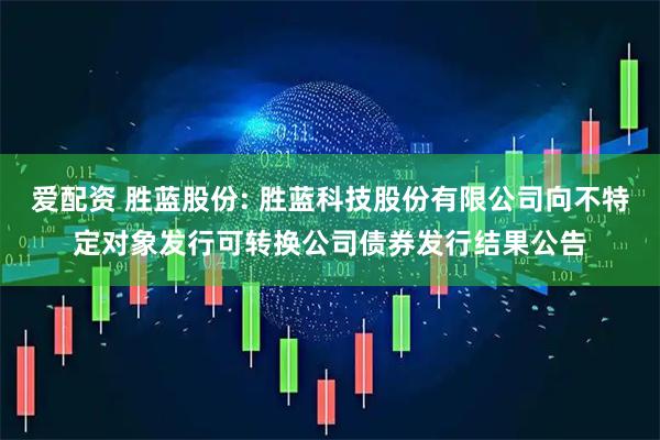 爱配资 胜蓝股份: 胜蓝科技股份有限公司向不特定对象发行可转换公司债券发行结果公告