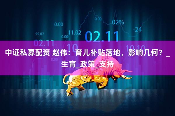 中证私募配资 赵伟：育儿补贴落地，影响几何？_生育_政策_支持